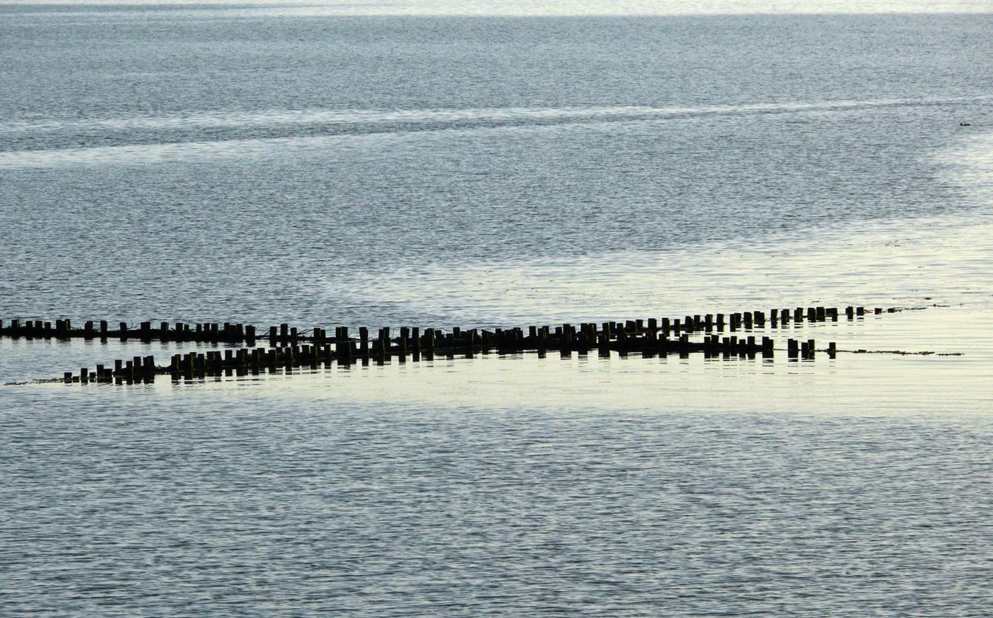 Haus Halligblick, Ferienwohnungen Am Wattenmeer, Whg Langenness Dagebüll エクステリア 写真