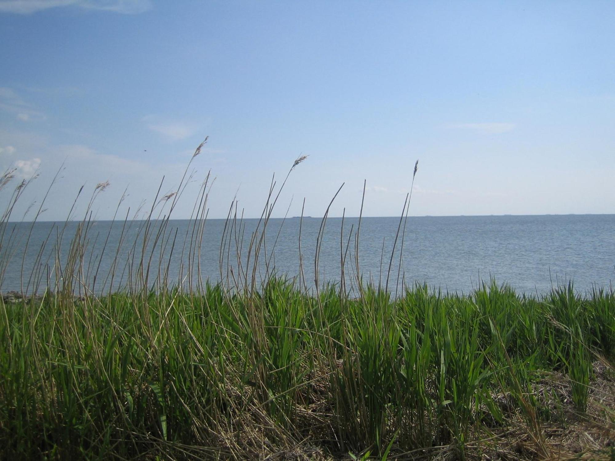 Haus Halligblick, Ferienwohnungen Am Wattenmeer, Whg Langenness Dagebüll エクステリア 写真