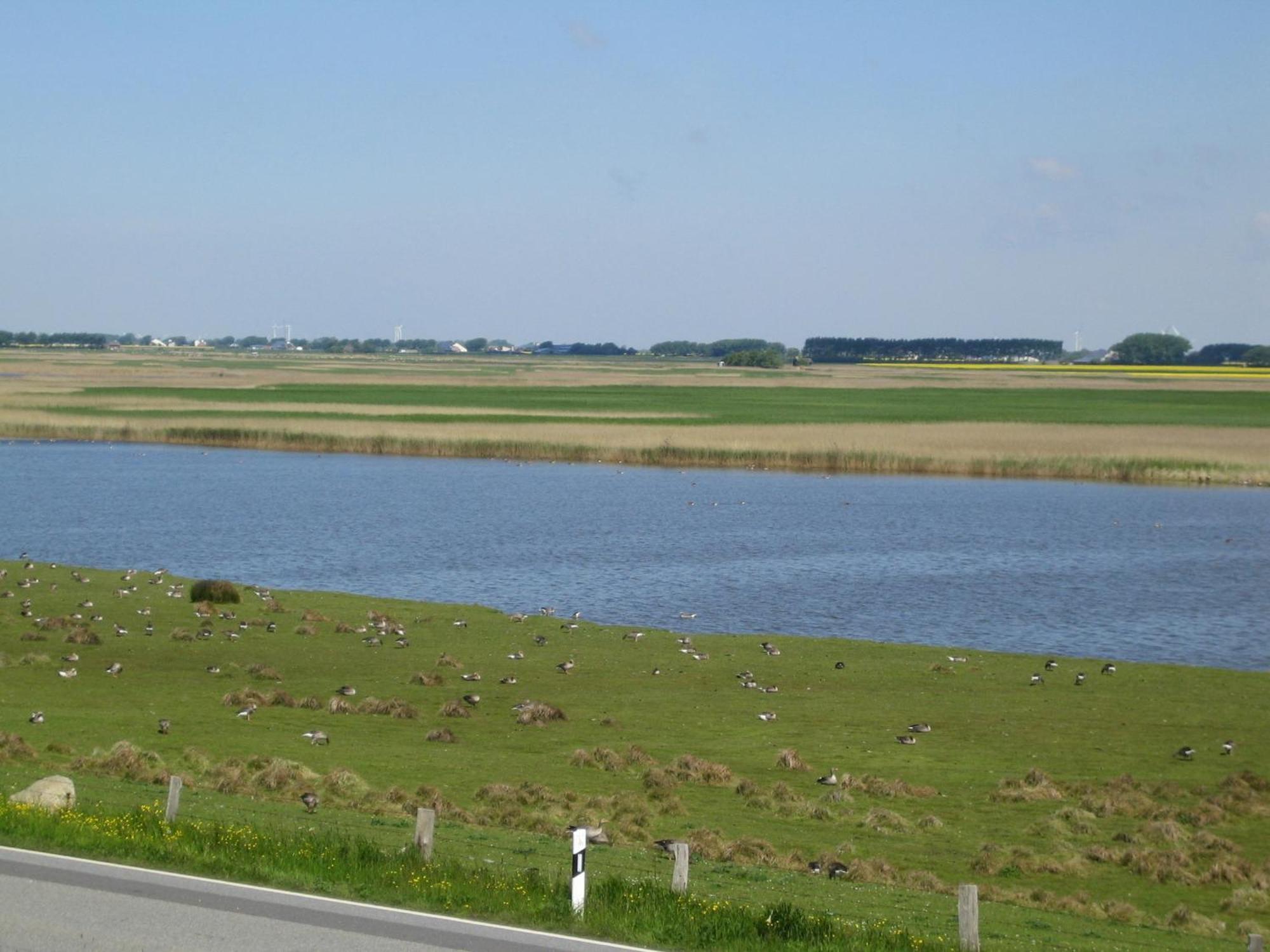 Haus Halligblick, Ferienwohnungen Am Wattenmeer, Whg Langenness Dagebüll エクステリア 写真