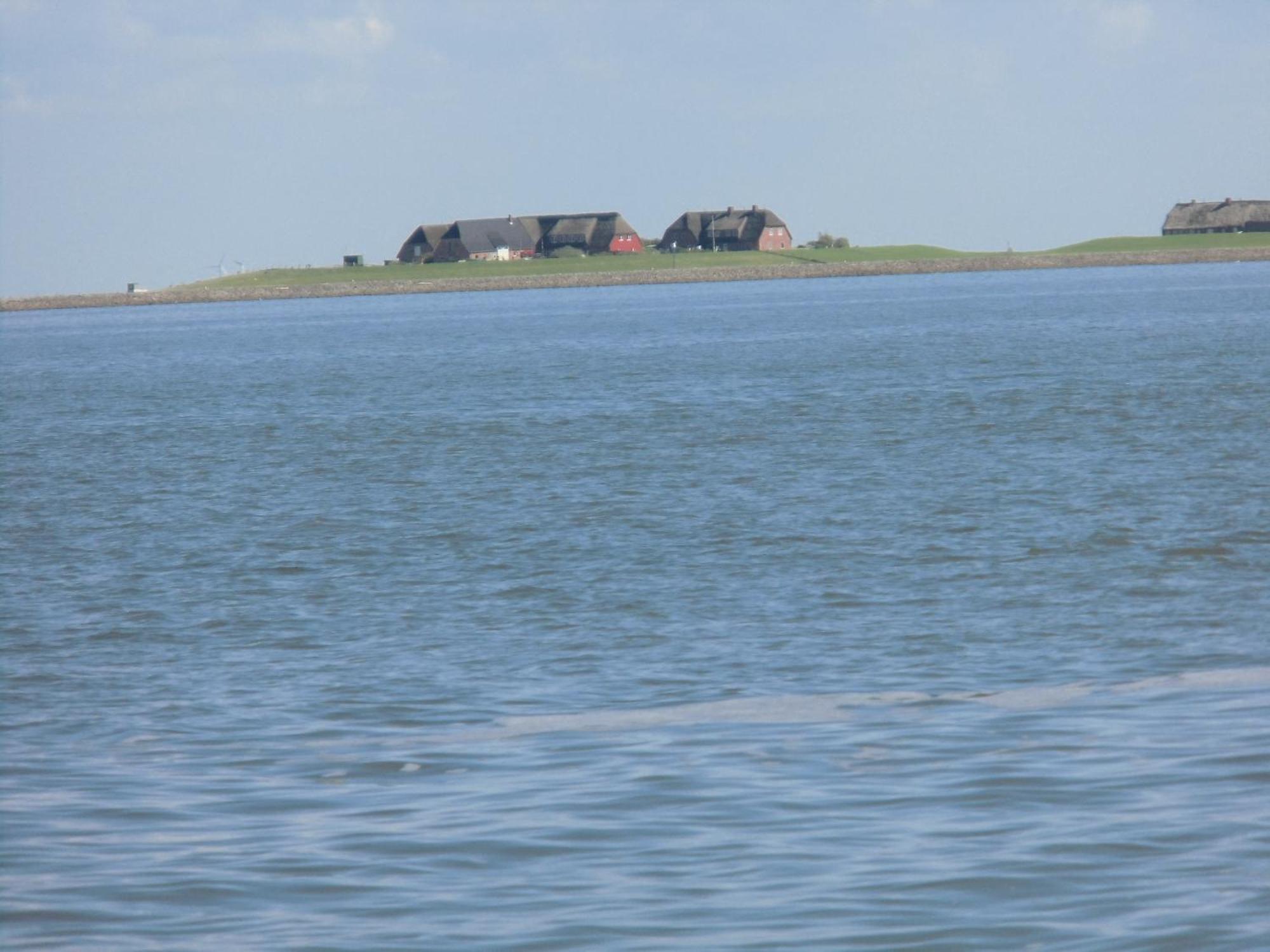 Haus Halligblick, Ferienwohnungen Am Wattenmeer, Whg Langenness Dagebüll エクステリア 写真