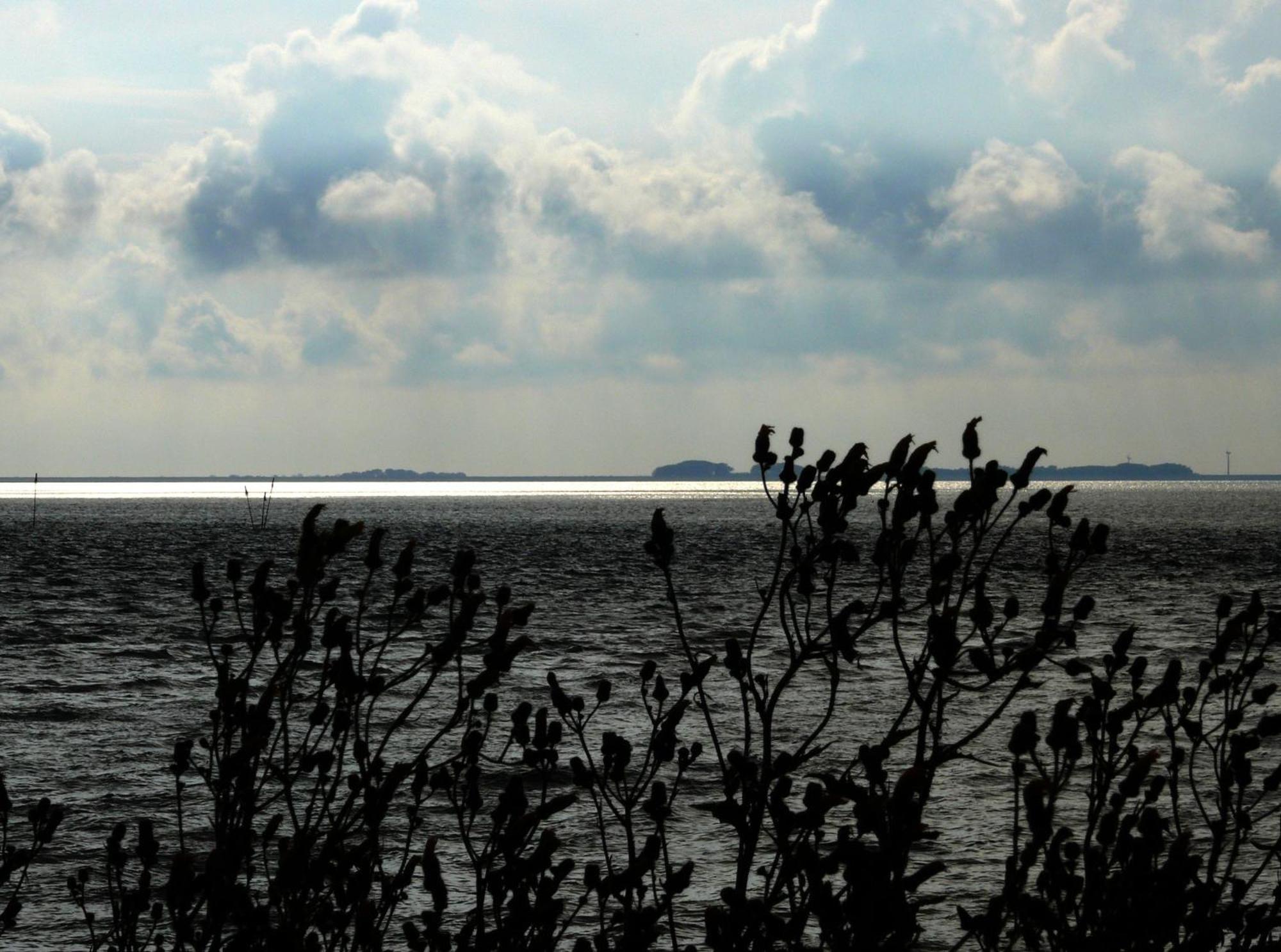 Haus Halligblick, Ferienwohnungen Am Wattenmeer, Whg Langenness Dagebüll エクステリア 写真